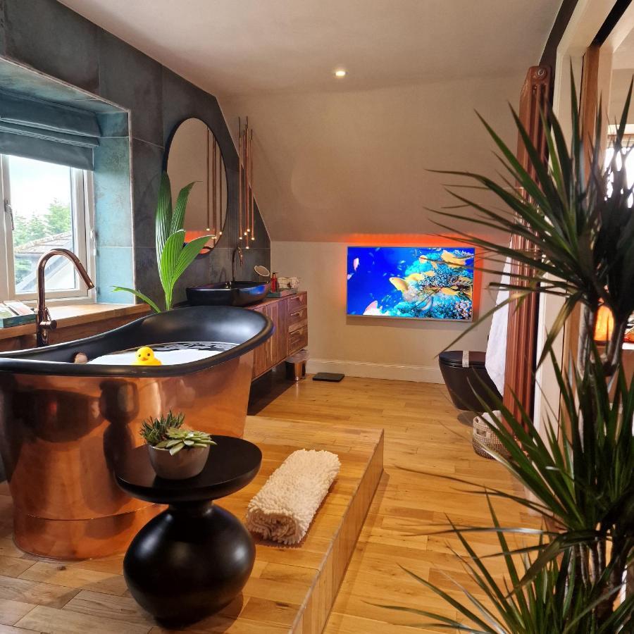 New Amazing The Black Wolf Suite The Grumpy Schnauzer B&B Airdrie Extérieur photo