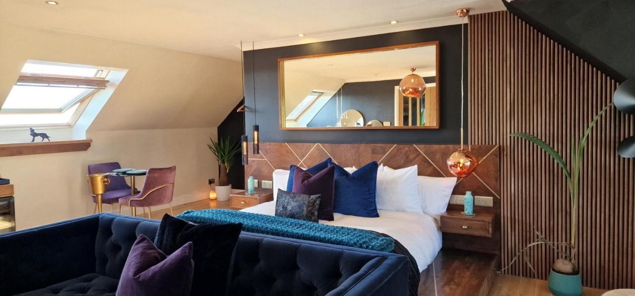New Amazing The Black Wolf Suite The Grumpy Schnauzer B&B Airdrie Extérieur photo
